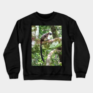 Spunky Monkey Crewneck Sweatshirt